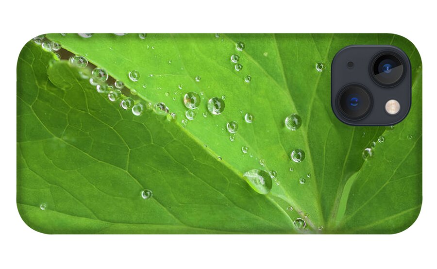 Flora iPhone 13 Case featuring the photograph Nature's Beading by Melissa Southern