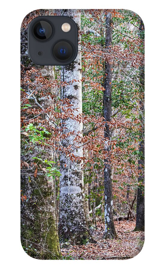 Hike iPhone 13 Case featuring the photograph North Carolina Winter Scene Along the Trail by Bob Decker