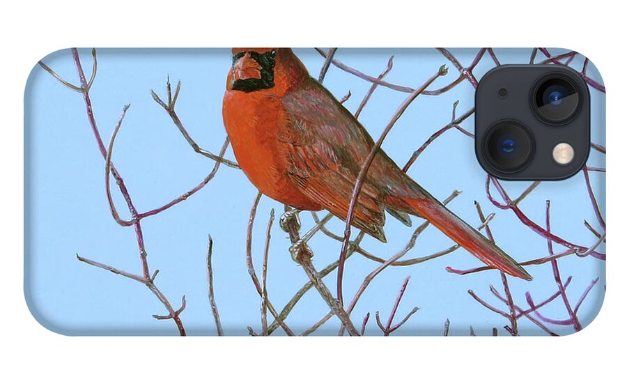 Cardinal iPhone 13 Case featuring the painting Northern Cardinal in Red Osier by Barry Kent MacKay