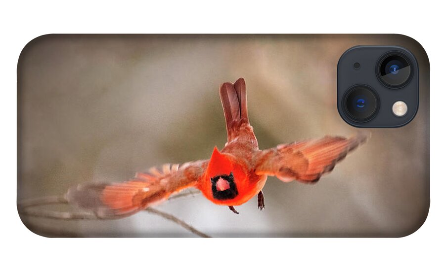 Male Northern Cardinal iPhone 13 Case featuring the photograph Northern Northern Cardinal In-flight by Sandra Rust