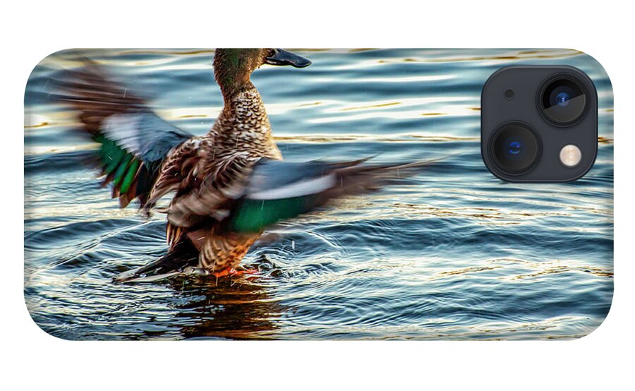 Bird iPhone 13 Case featuring the photograph Northern Shoveler by Cathy Kovarik