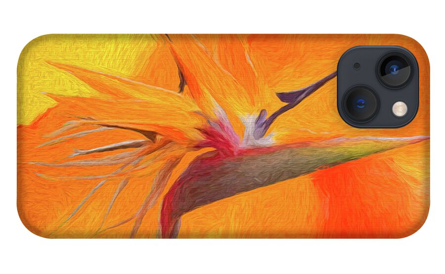 Hawaniian iPhone 13 Case featuring the photograph Oahu Painted Floral Abstract by Diana Mary Sharpton