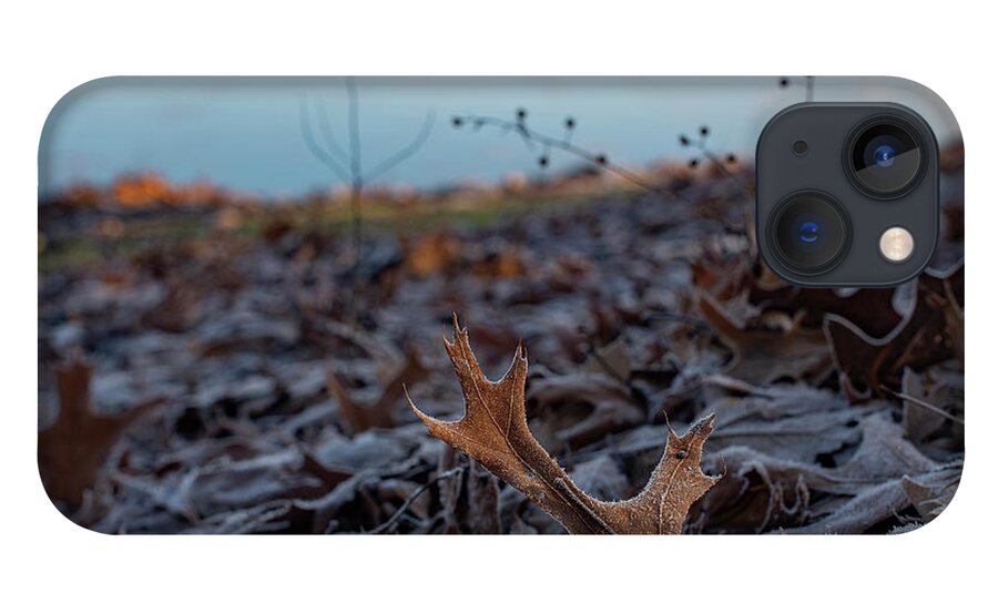 Oak Leaf iPhone 13 Case featuring the photograph Oak Leaf on the First Frost by Sandra Rust