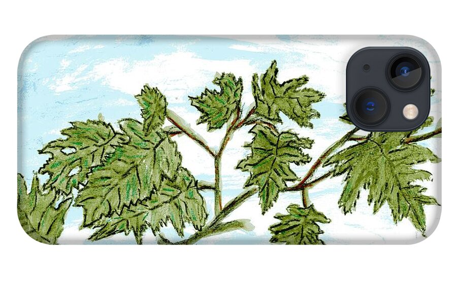 Oak iPhone 13 Case featuring the drawing Oak Leaves by Branwen Drew