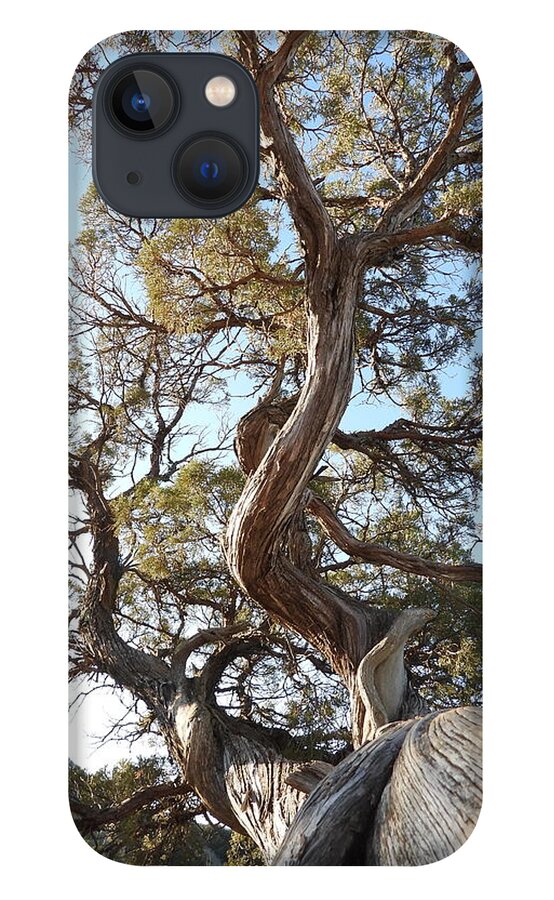 Juniper iPhone 13 Case featuring the photograph Old Twisted Juniper 4 by Amanda R Wright