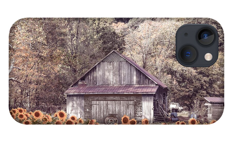 Sunflower iPhone 13 Case featuring the photograph Old Wood Barn in Soft Sunflowers by Debra and Dave Vanderlaan