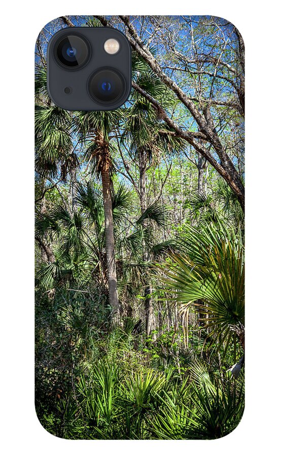 Florida iPhone 13 Case featuring the photograph On a Florida Hike - 3 by W Chris Fooshee