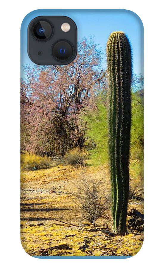 Arizona iPhone 13 Case featuring the photograph On the Ironwood Trail by Judy Kennedy
