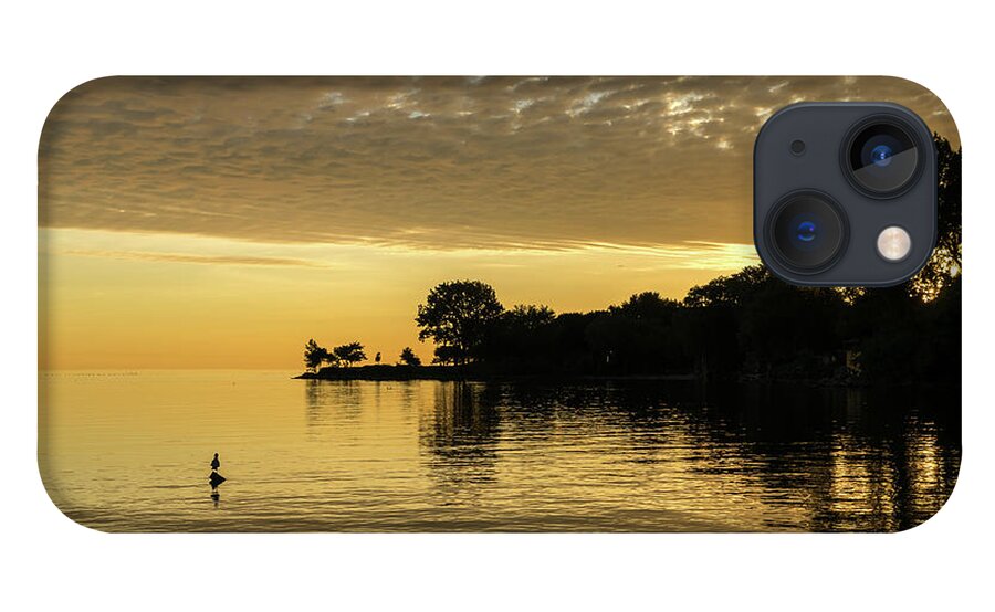 One Seagull iPhone 13 Case featuring the photograph One Seagull - Lake Ontario Sunrise in Lustrous Gold by Georgia Mizuleva