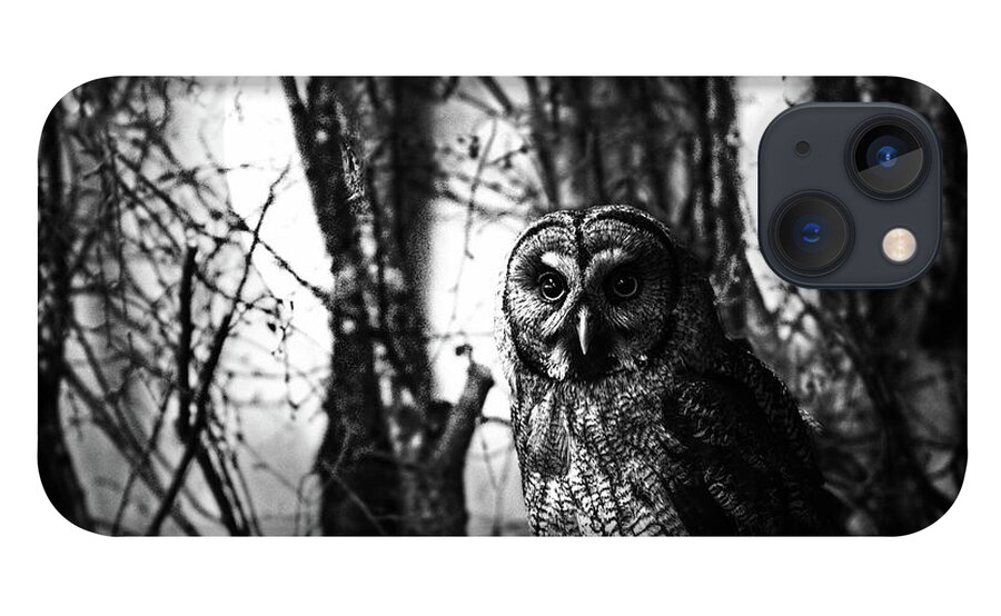 Animals iPhone 13 Case featuring the photograph Owl in the Forest in Black and White by Debra and Dave Vanderlaan