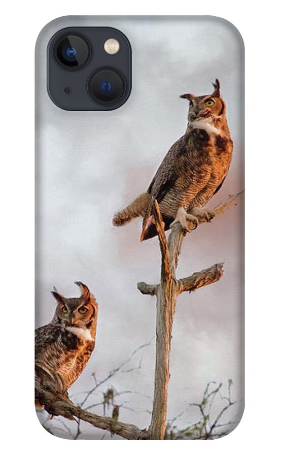 Great Horned Owl iPhone 13 Case featuring the digital art Owls at Dusk - Stormy Sky by Jayne Carney