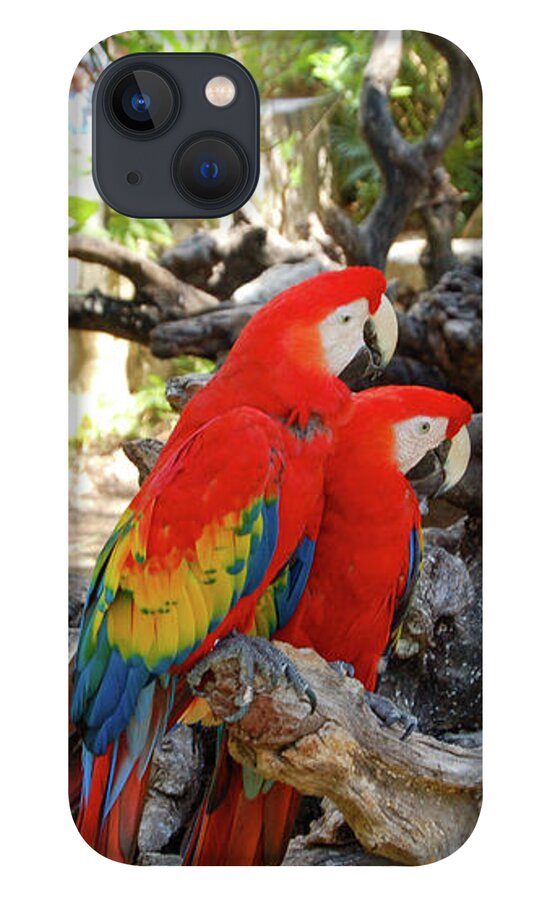 Xcaret iPhone 13 Case featuring the photograph Parrots at Xcaret by William Scott Koenig