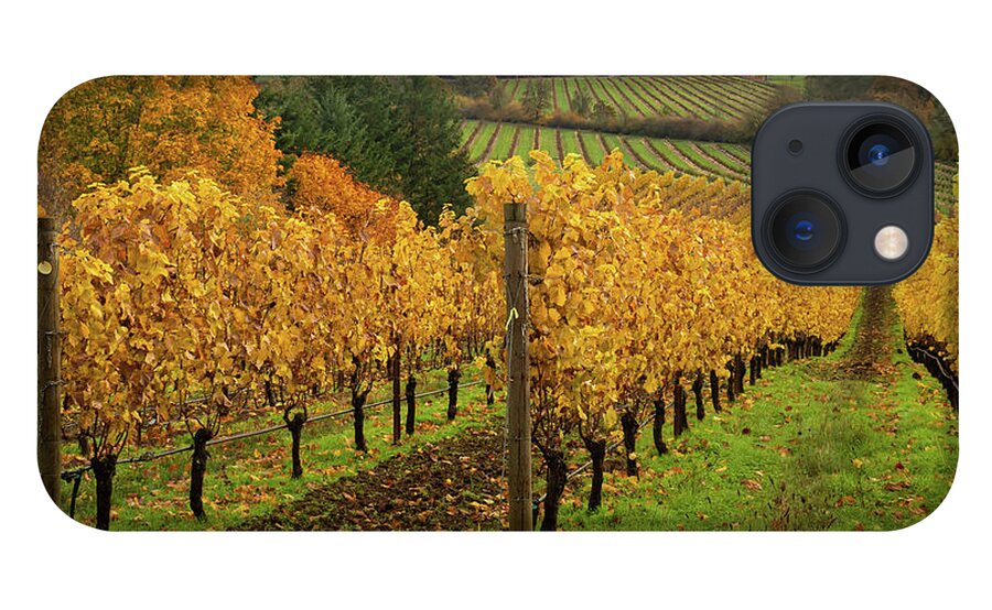 Vineyard iPhone 13 Case featuring the photograph Patterns of Fall in the Vineyard by Leslie Struxness