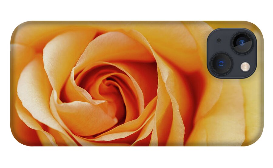 Rose iPhone 13 Case featuring the photograph Peach Rose by Gareth Parkes
