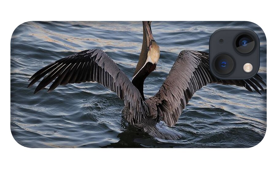 Pelican iPhone 13 Case featuring the photograph Pelican enjoying a meal by Mingming Jiang