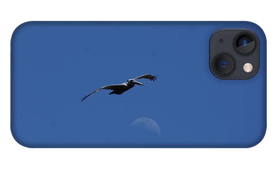 Pelican iPhone 13 Case featuring the photograph Pelican Moon by Heather E Harman