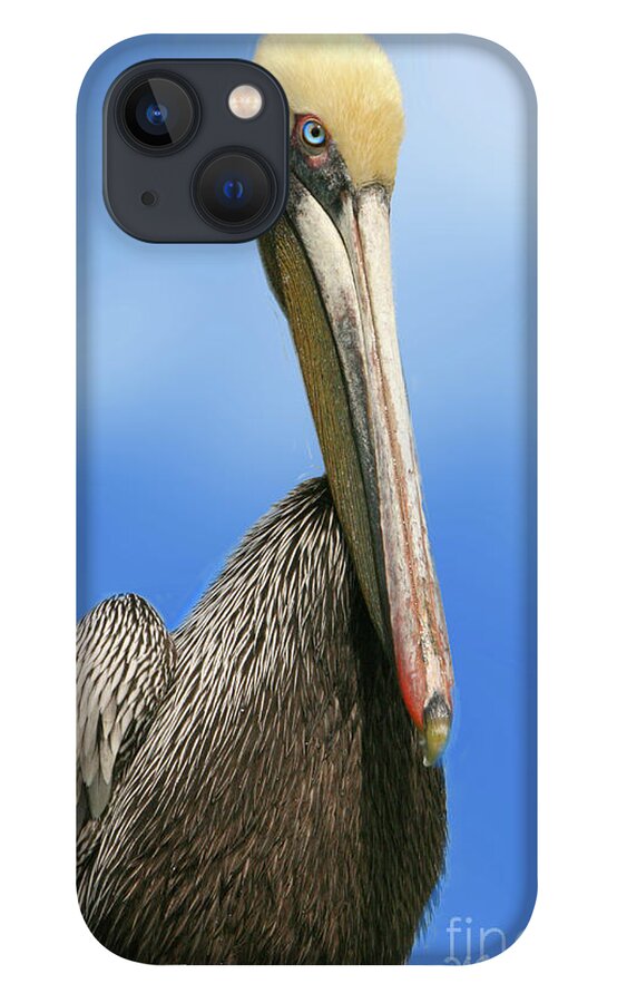 Nature iPhone 13 Case featuring the photograph Pelican Portrait by Mariarosa Rockefeller