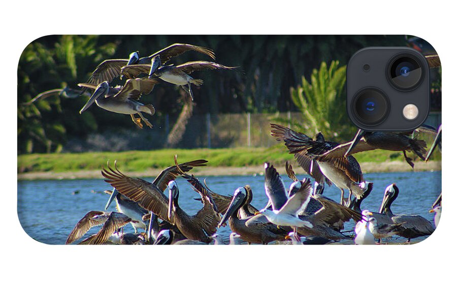 Bird iPhone 13 Case featuring the photograph Pelicans In Flight Over the Lagoon by Marcus Jones