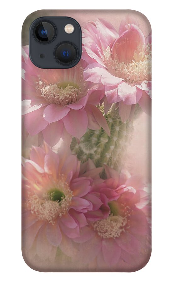 Black Cactus iPhone 13 Case featuring the digital art Pink Blooms of Tucson by Steve Kelley