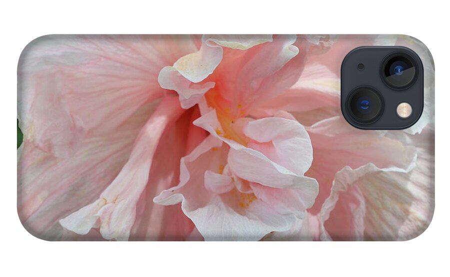 Hibiscus iPhone 13 Case featuring the photograph Pink Chiffon by Tony Spencer