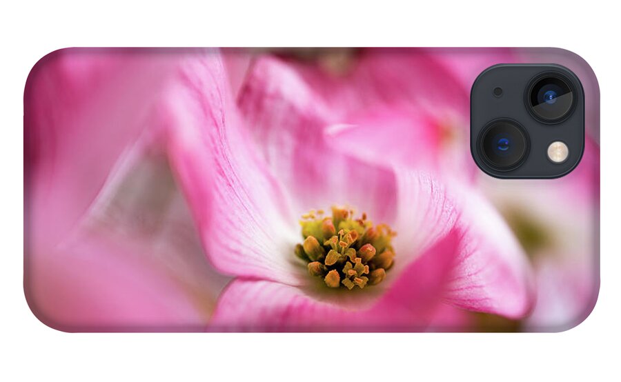 Pink iPhone 13 Case featuring the photograph Pink Dogwood Tree in Bloom by Ada Weyland