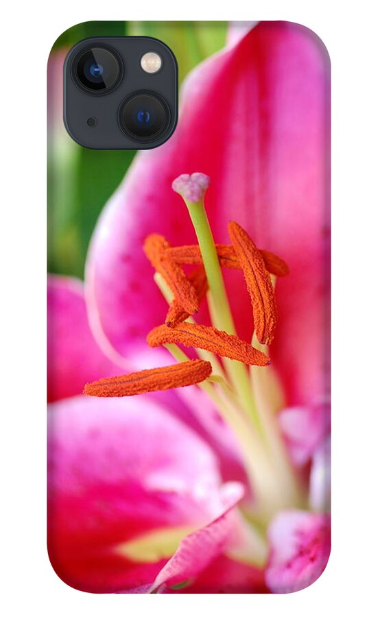 Lily iPhone 13 Case featuring the photograph Pink Lily 1 by Amy Fose