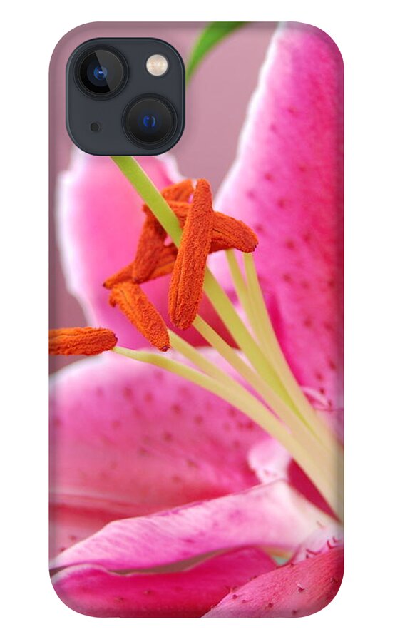Lily iPhone 13 Case featuring the photograph Pink Lily 5 by Amy Fose