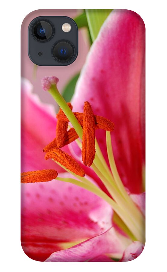 Lily iPhone 13 Case featuring the photograph Pink Lily 6 by Amy Fose