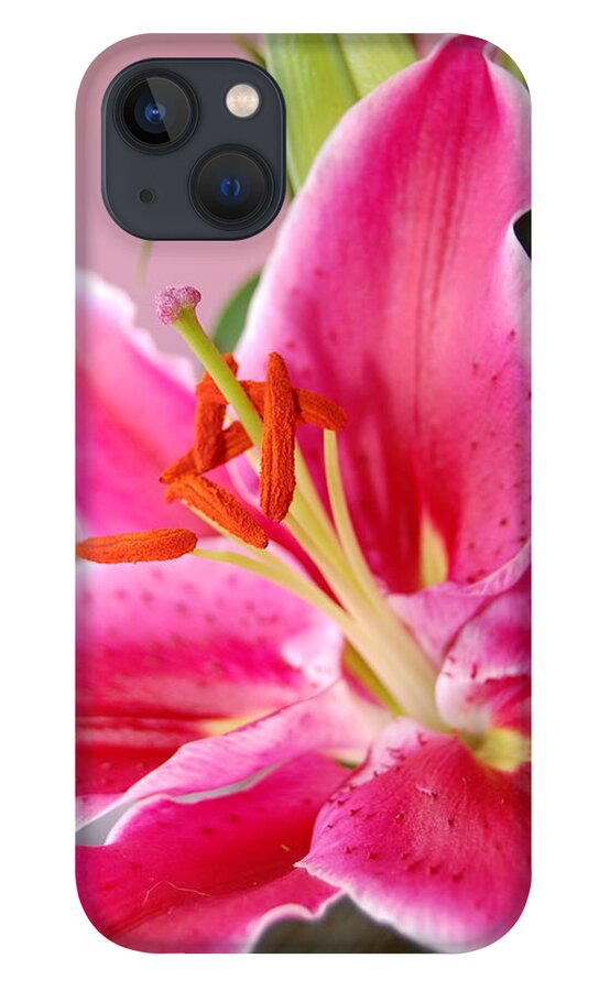 Lily iPhone 13 Case featuring the photograph Pink Lily 7 by Amy Fose