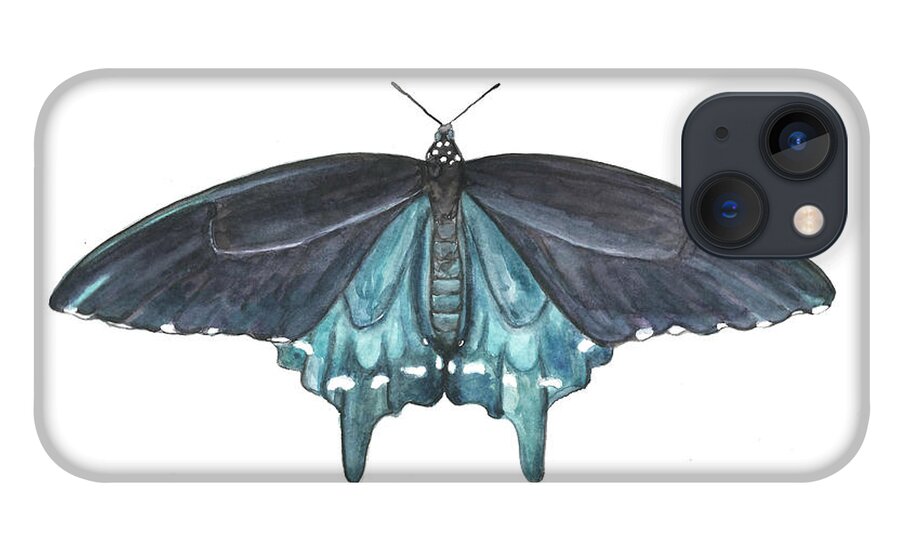 Butterfly Butterflies Florida American Pipevine Swallowtail Blue Navy Transformation Watercolor iPhone 13 Case featuring the painting Pipevine Swallowtail Butterfly by Pamela Schwartz