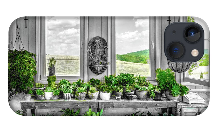 Barns iPhone 13 Case featuring the photograph Plants in the Vineyard Greenhouse Window Black and White and Gre by Debra and Dave Vanderlaan