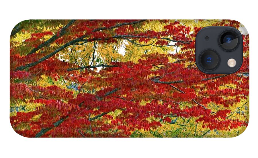 Abstract iPhone 13 Case featuring the photograph Port Gamble Fall Colors by David Desautel