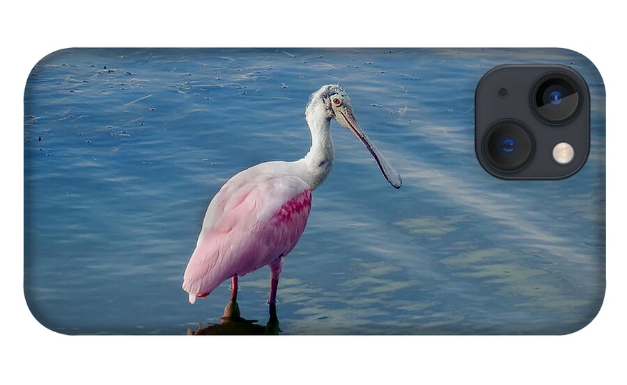 Spoonbill iPhone 13 Case featuring the photograph Pretty in Pink by Laura Putman