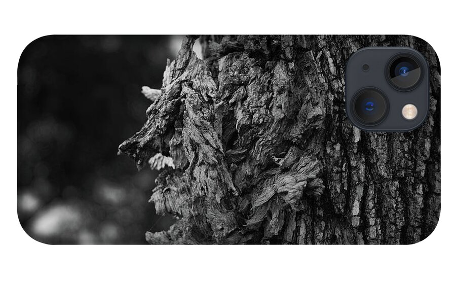 Tree iPhone 13 Case featuring the photograph Profile in a Tree by Alan Goldberg