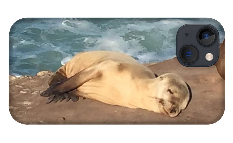 Seal iPhone 13 Case featuring the photograph Pure Contentment by Lisa White