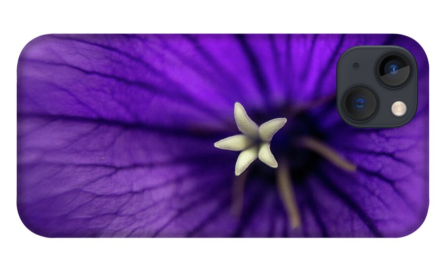 Purple iPhone 13 Case featuring the photograph Purple Balloon Flower by Denise Kopko