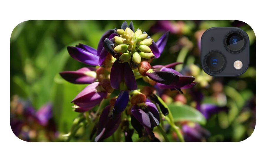 Flower iPhone 13 Case featuring the photograph Purple Buds by Heather E Harman