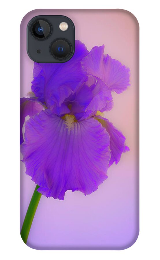 Irises iPhone 13 Case featuring the photograph Purple Iris Blooms in Spring by Lindsay Thomson
