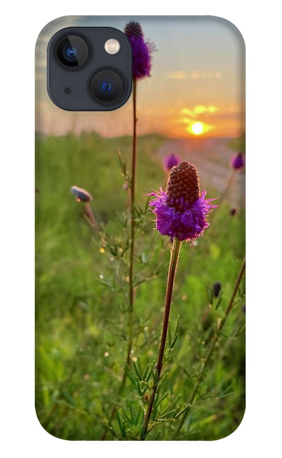Purple Prairie Clover iPhone 13 Case featuring the photograph Purple Prairie Clover by Alex Blondeau