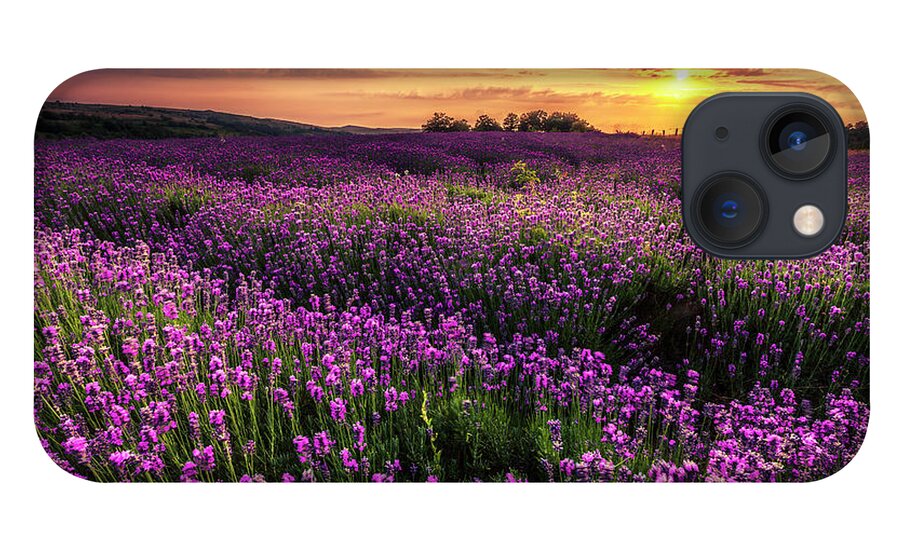 Bulgaria iPhone 13 Case featuring the photograph Purple Sea by Evgeni Dinev