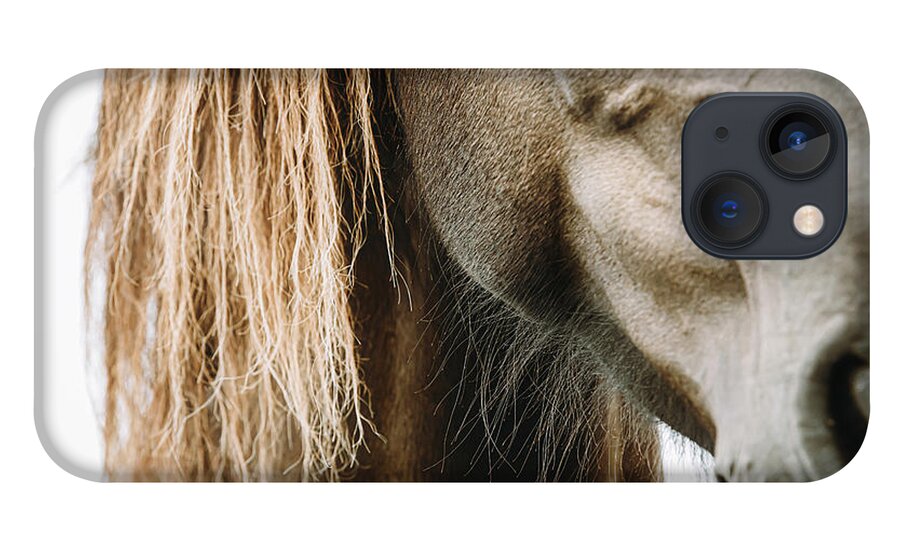 Horse iPhone 13 Case featuring the photograph Quest I - Horse Art by Lisa Saint