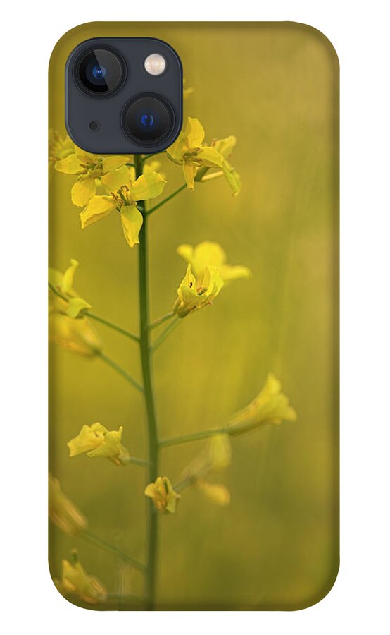 Rapeseed iPhone 13 Case featuring the photograph Rapeseed flowers by Karen Rispin