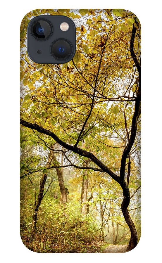 Tree iPhone 13 Case featuring the photograph Reaching Upwards into Autumn by Debra and Dave Vanderlaan