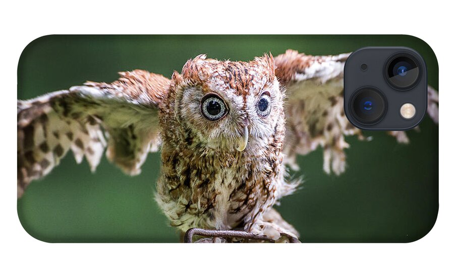 Raptors Owl iPhone 13 Case featuring the photograph Ready for take-off by Robert Miller