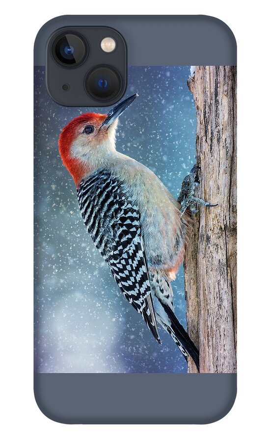 Tree iPhone 13 Case featuring the photograph Red-Belly Snowy Tree by Bill and Linda Tiepelman