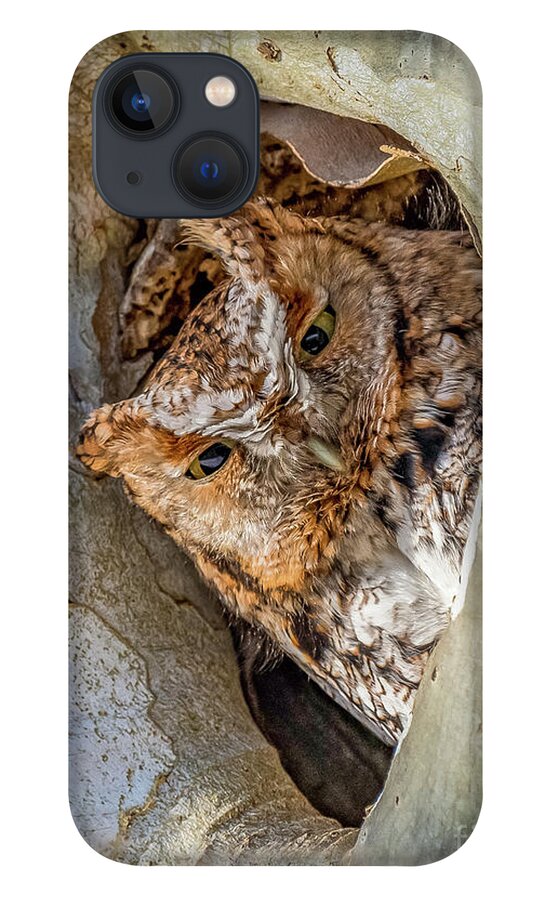 Red Phase Eastern Screech Owl iPhone 13 Case featuring the photograph Red phase Eastern Screech Owl by Sandra Rust