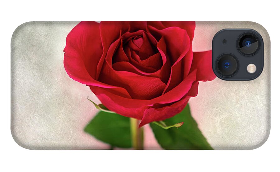 Red Rose iPhone 13 Case featuring the photograph Red Rose Single Stem Print by Gwen Gibson
