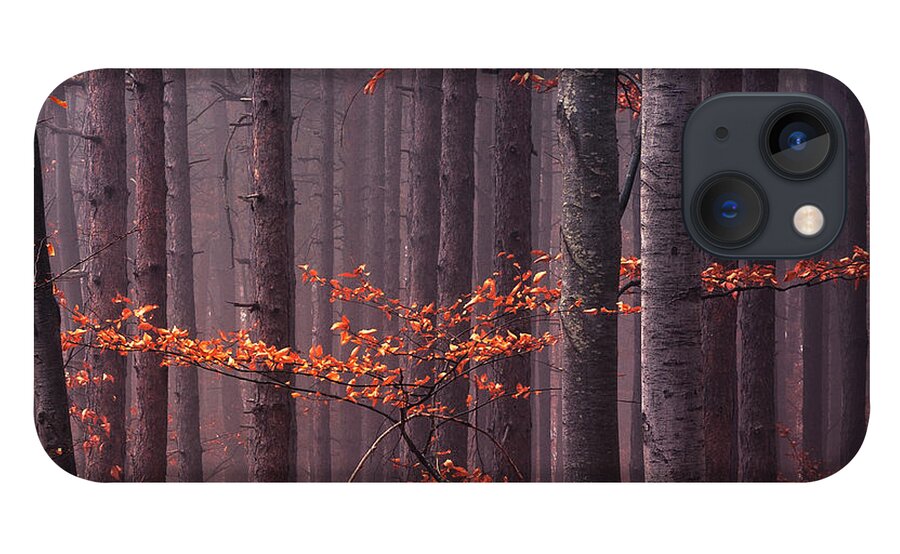 Mountain iPhone 13 Case featuring the photograph Red Wood by Evgeni Dinev