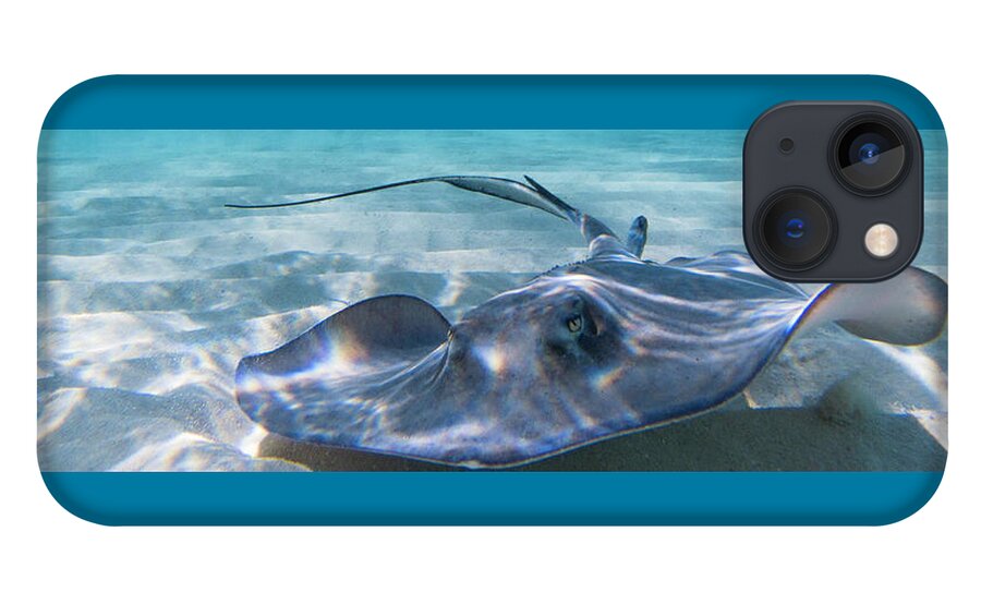 Ray iPhone 13 Case featuring the photograph Reflections on a Southern Ray by Lynne Browne