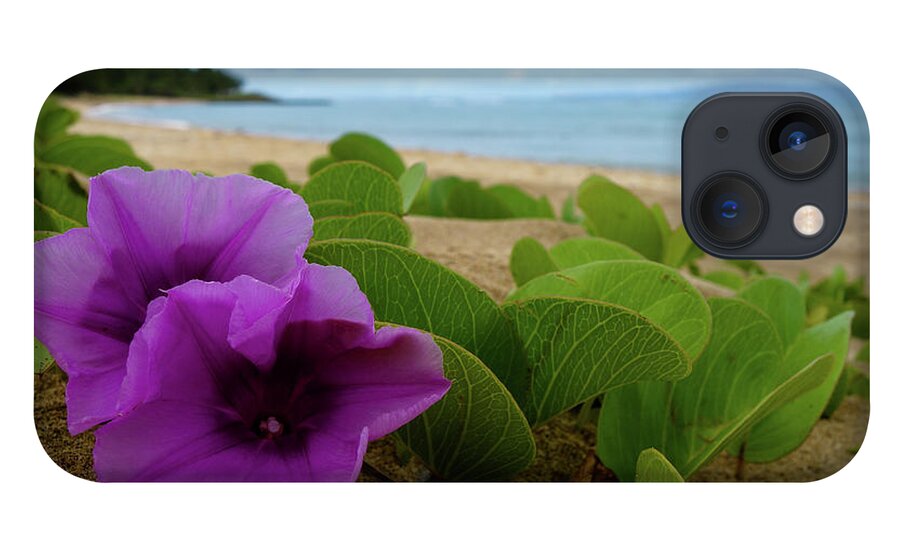 Maui iPhone 13 Case featuring the photograph Relaxing Flowers in the Sand by Wilko van de Kamp Fine Photo Art